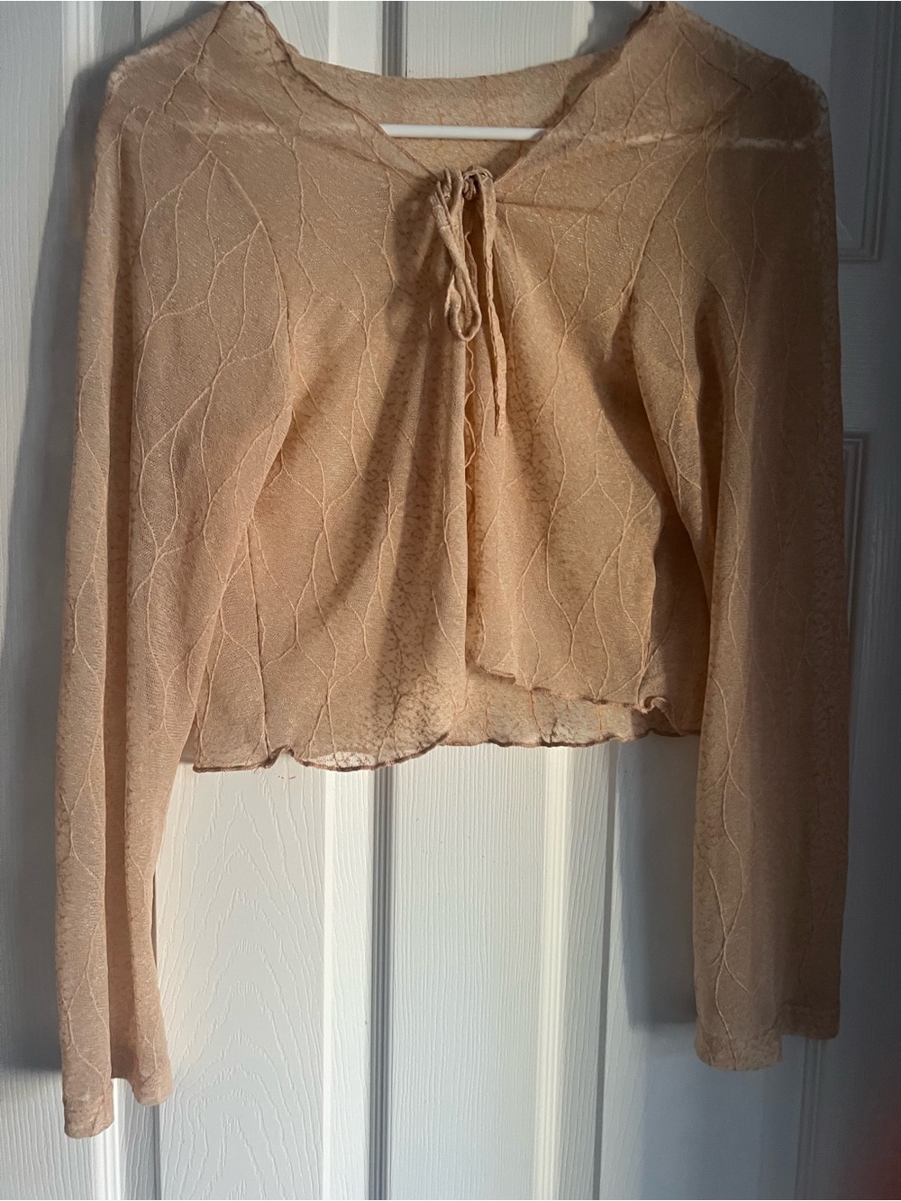 Women's Sheer Tie-Front Long Sleeve Top in Beige